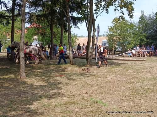 IMG_20260801_131130